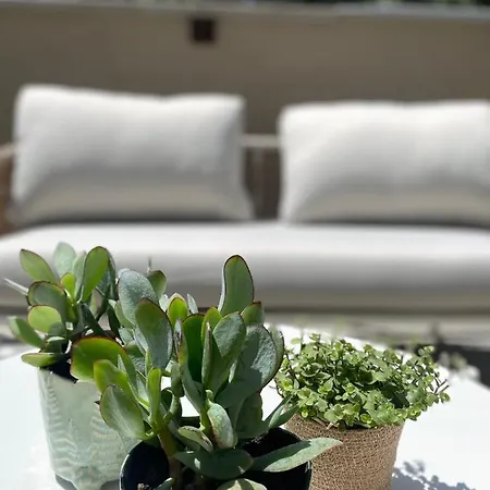 Piano B ～ アパート